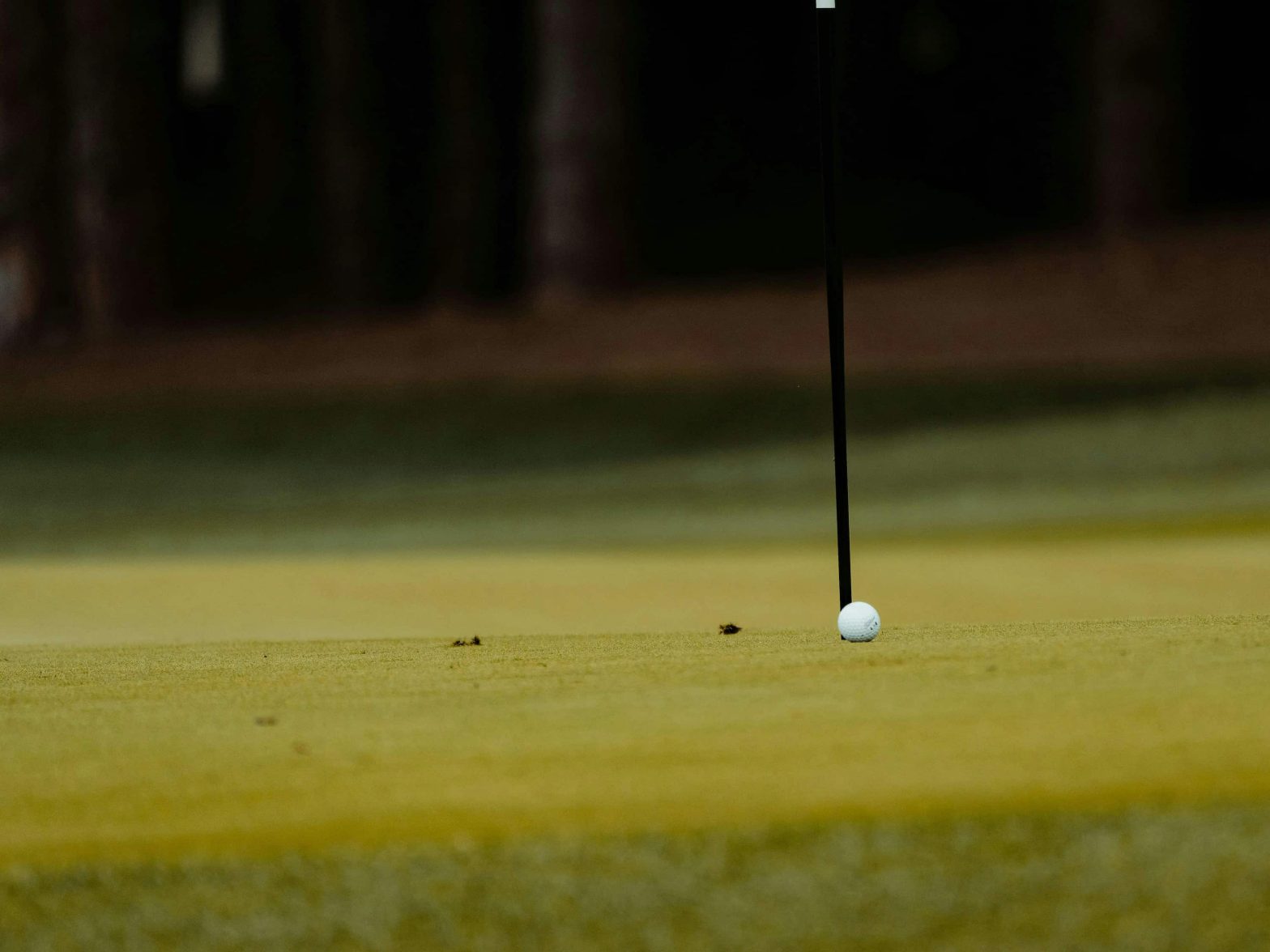 Golfer's Legacy
